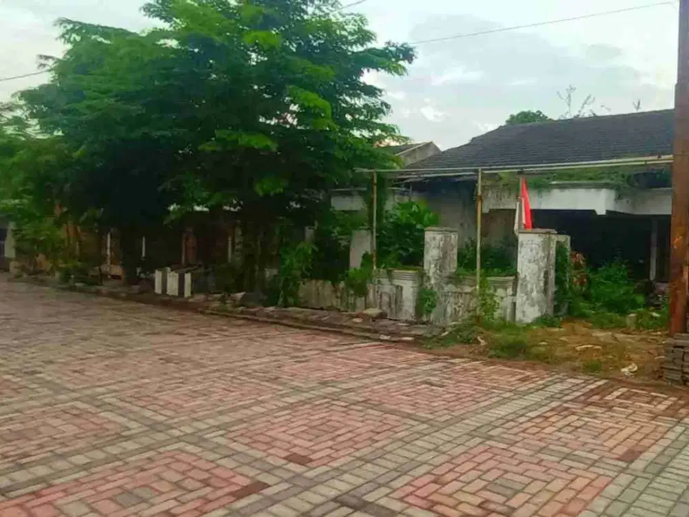 Rumah Hitung Tanah Gayungsari Barat Surabaya Gayungan Sidoarjo