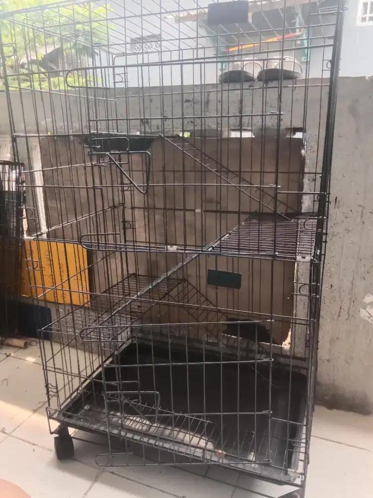 Kandang kucing tingkat