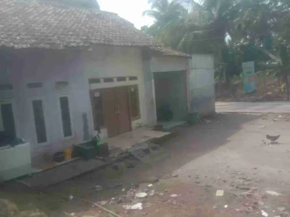 Rumah Pinggir Jalan Cor Dekat Untirta Sindangsari Serang Banten