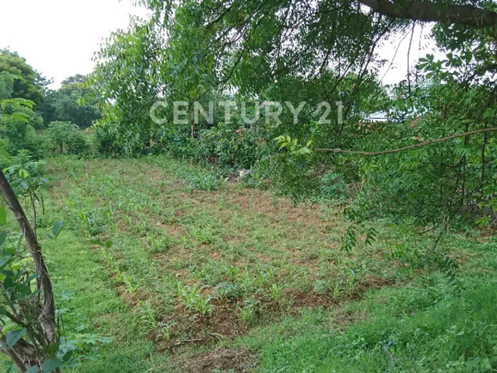 DIJUAL TANAH BALI UTARA LOKASI STRATEGIS BEBAS BANJIR