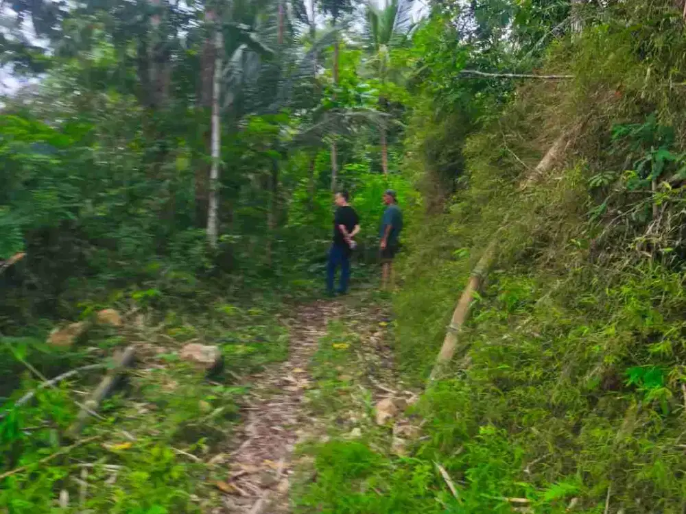 JUAL TANAH DI JATIMULYO GIRIMULYO KULONPROGO VIEW AIR TERJUN