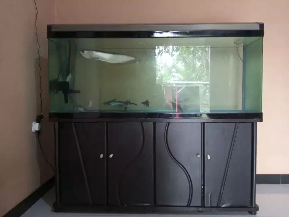 Aquarium besar merek boyu