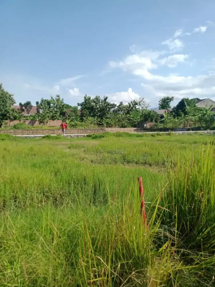 Dijual tanah Luas 160 m2 ( Tanah kavling )