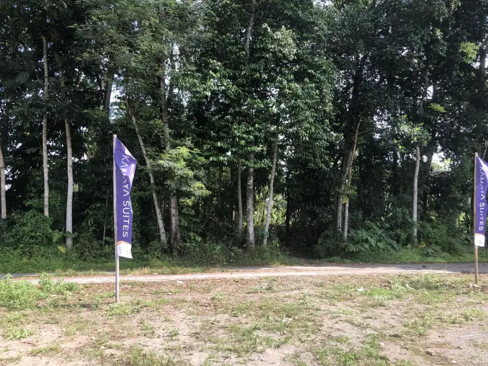 Kavling Tanah di Sleman – Dekat Pasar Kolombo & Fasilitas Umum