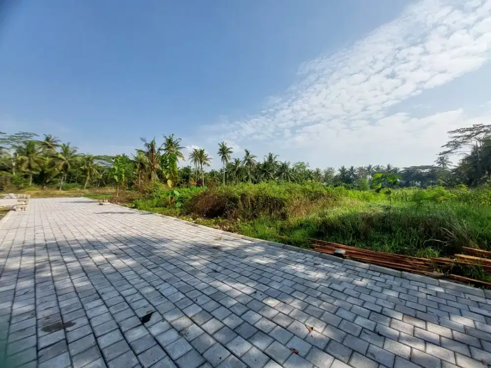 Tawangsari Pengasih, Tanah Kulon Progo, dekat Pasar Wates