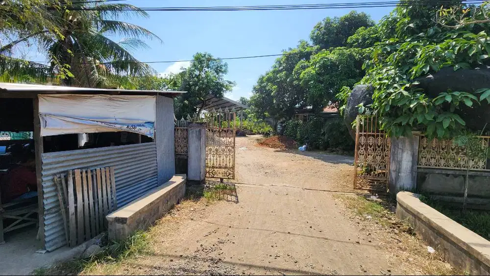 Tanah Dijual - di Jl Raya Tayu Pati (sebelah kiri BPR Mitra Tayu)