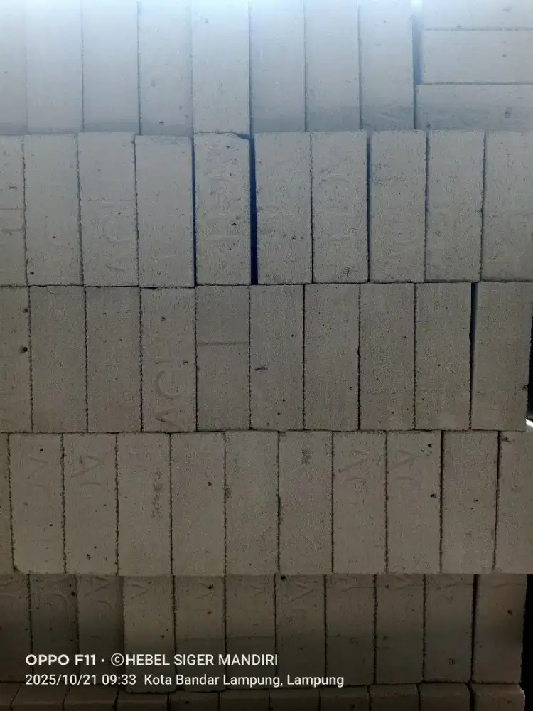 HERBEL ATAU BATA RINGAN