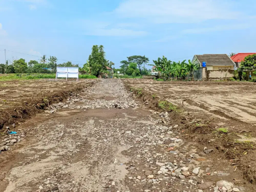 900 Meter Dawet Ringin Pak Bardi Purwomartani, Pekarangan