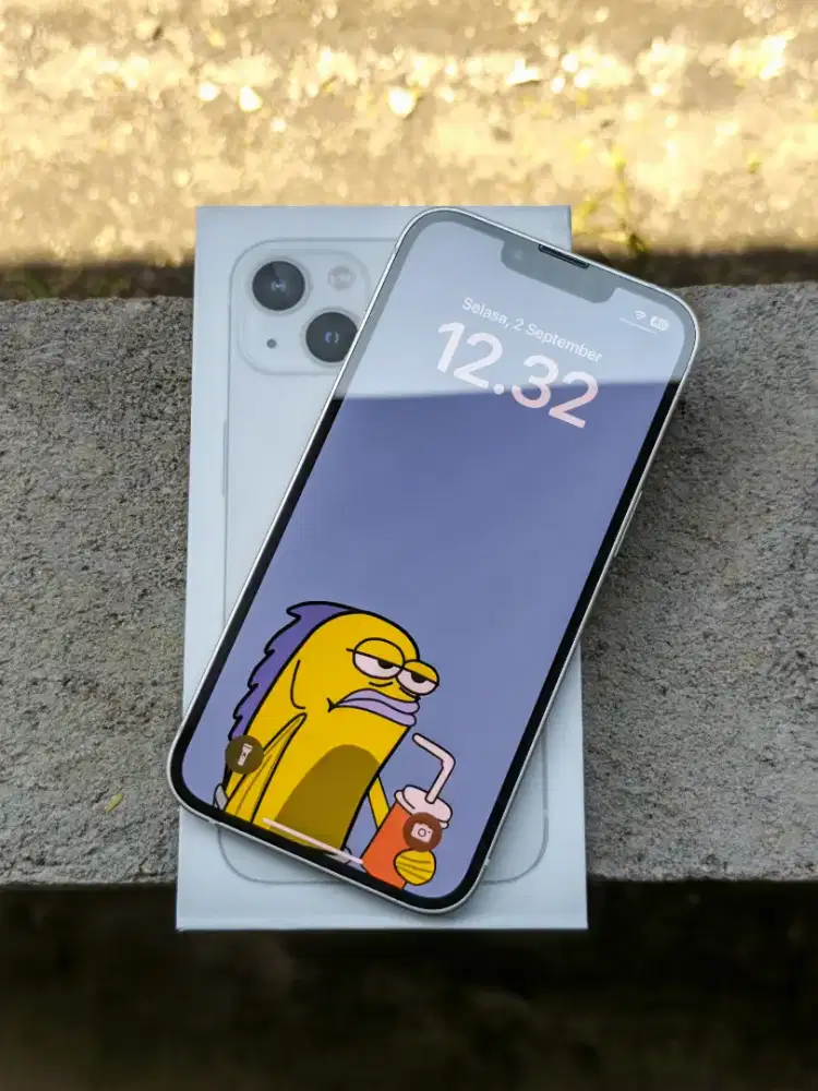 Iphone 13 128 Inter All Provider