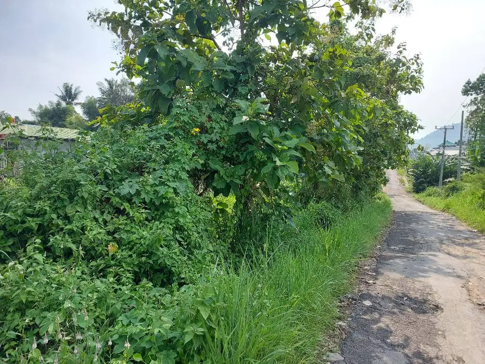 Tanah Kosong Strategis di Pemukiman Warga