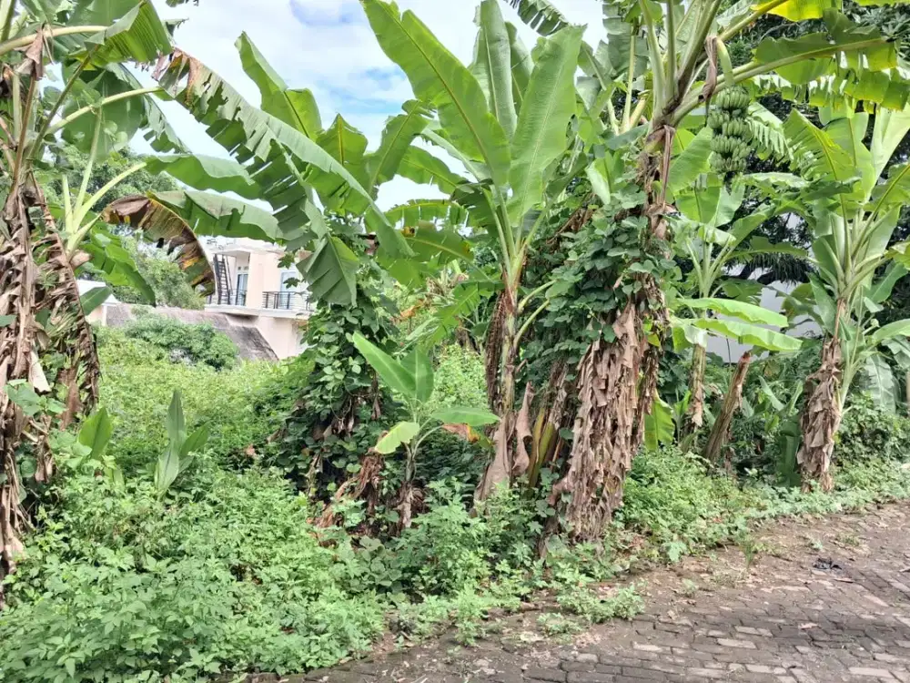 Dijual Tanah Kosong Mulawarman Selatan Banyumanik, Semarang