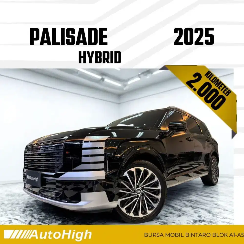 DP10% [Km2.000] Palisade Hybrid Calligraphy 2025 Black #AUTOHIGH