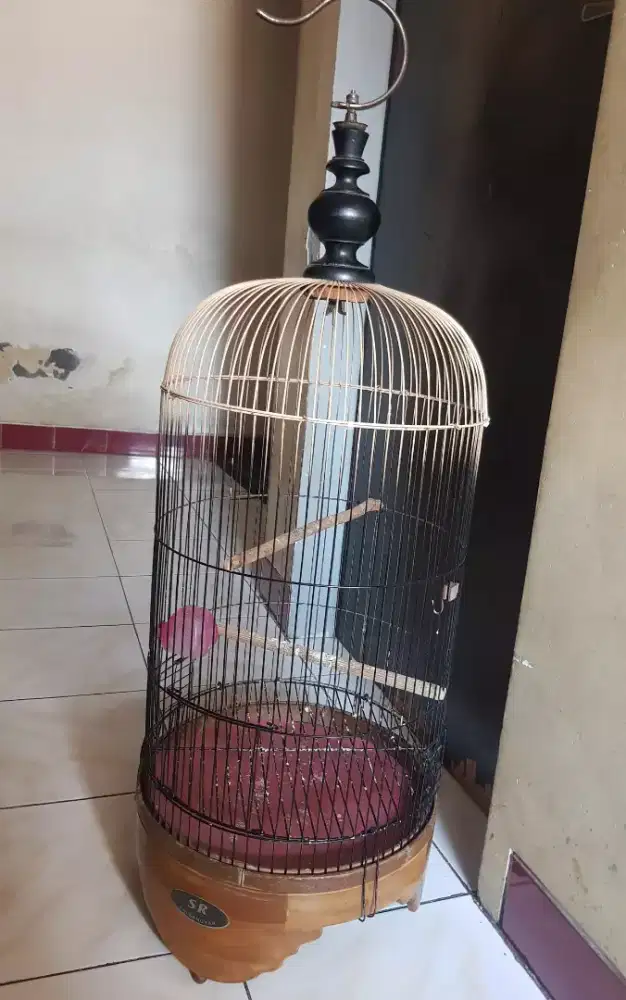 Sangkar bekas jual apa adanya kondisi ruji aman krodong ada