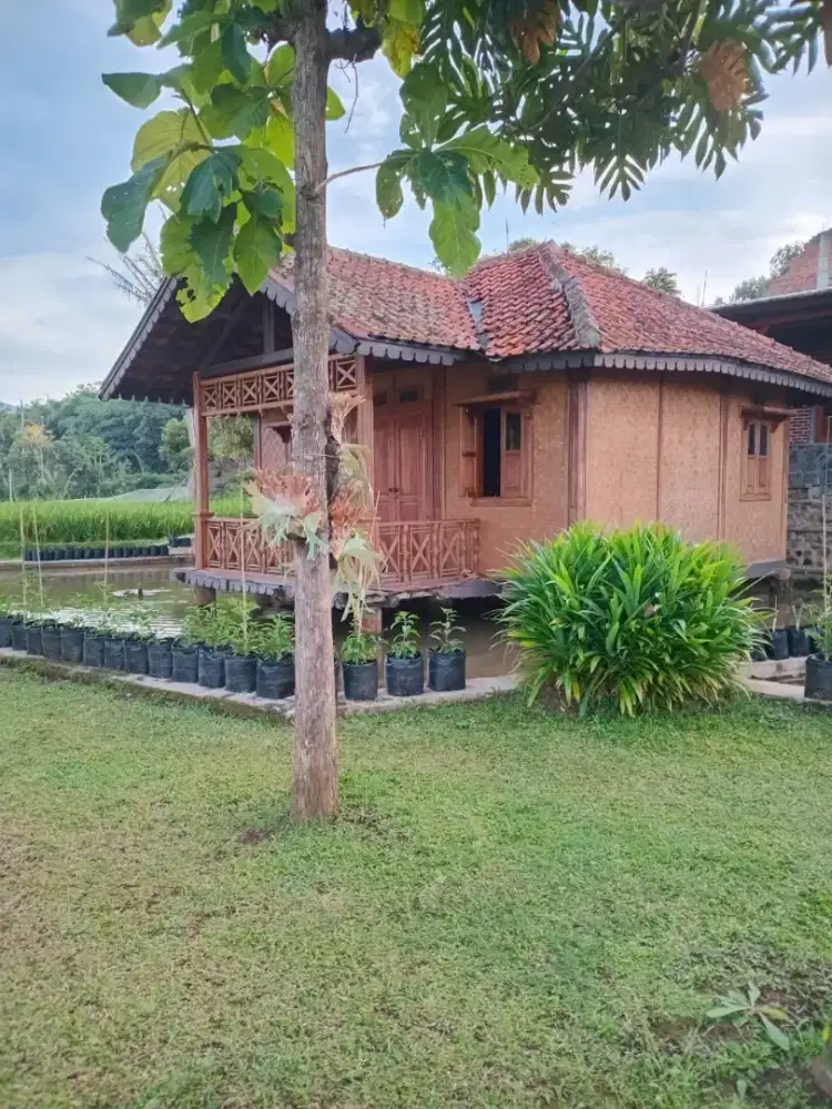 Dijual tanah dan bangunan