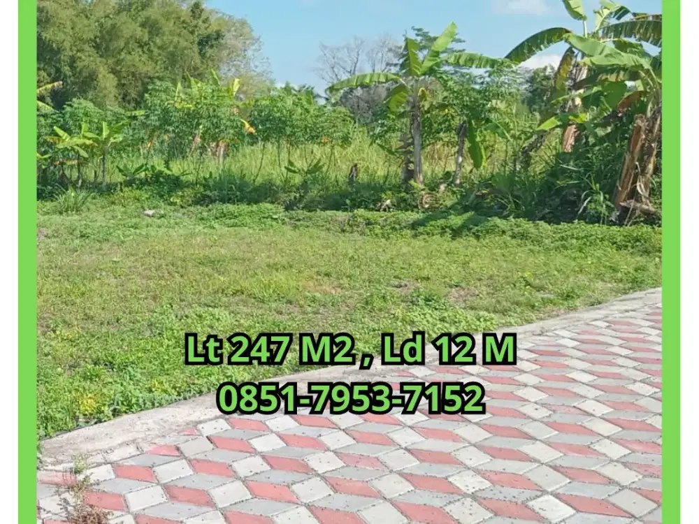 Dekat Kelurahan Sardonoharjo Kaliurang Sleman Tanah Siap Bangun