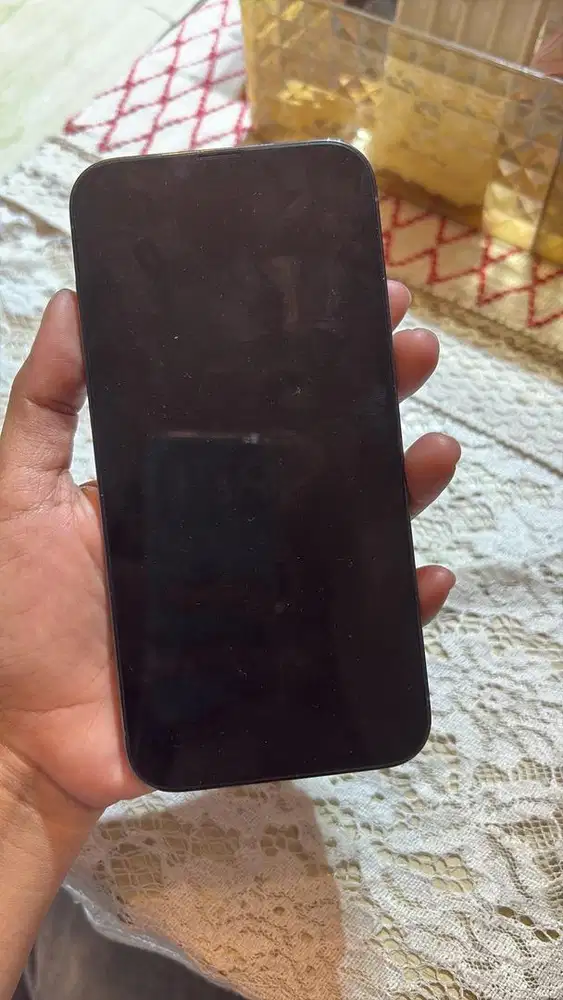 Iphone 13 promax 256gb