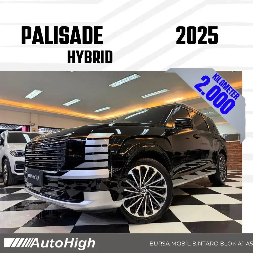 DP10% [Km2.000] Palisade Hybrid Calligraphy 2025 Black #AUTOHIGH