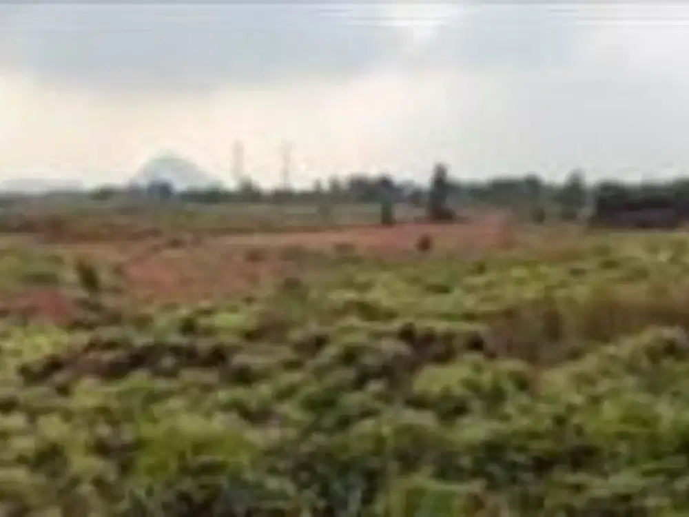 Kavling Luas Strategis di Jalan Raya Sukatani Purwakarta