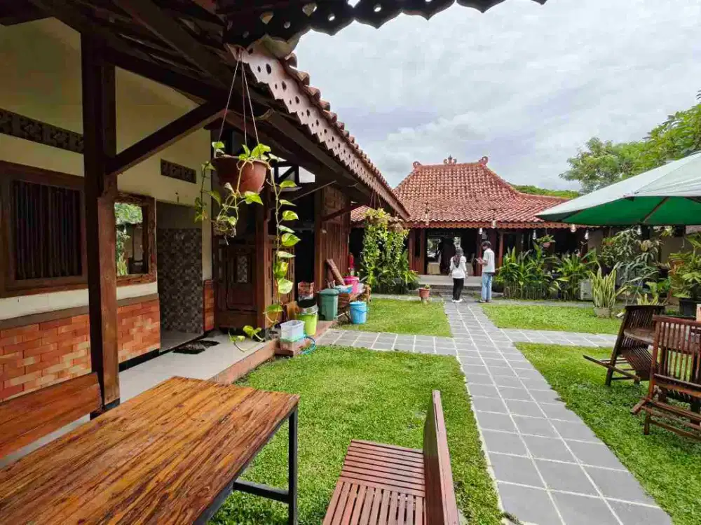 Resto Luas Nuansa Joglo Klasik Jawa Aktif Investasi Menguntungkan Solo Kota