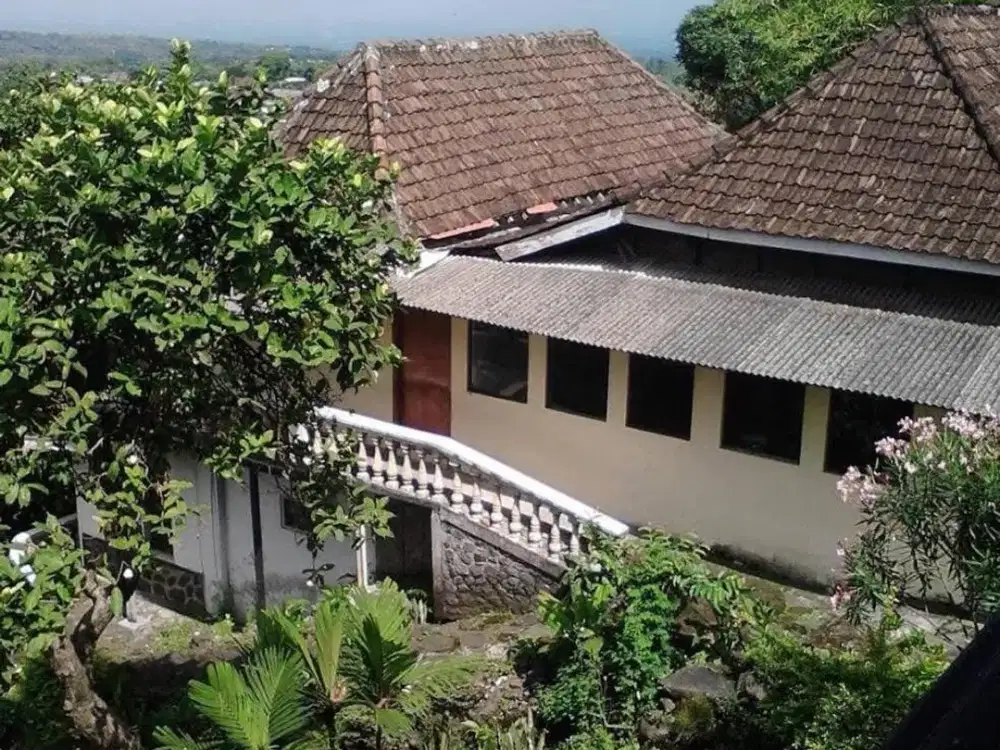 HOTEL DIJUAL – Swiss Cangar Inn, Pusat Pacet Mojokerto View Terbaik