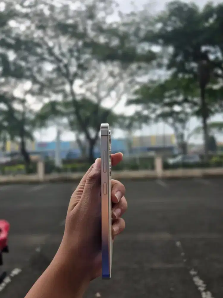 SAMSUNG S24 BASIC 8,749,000