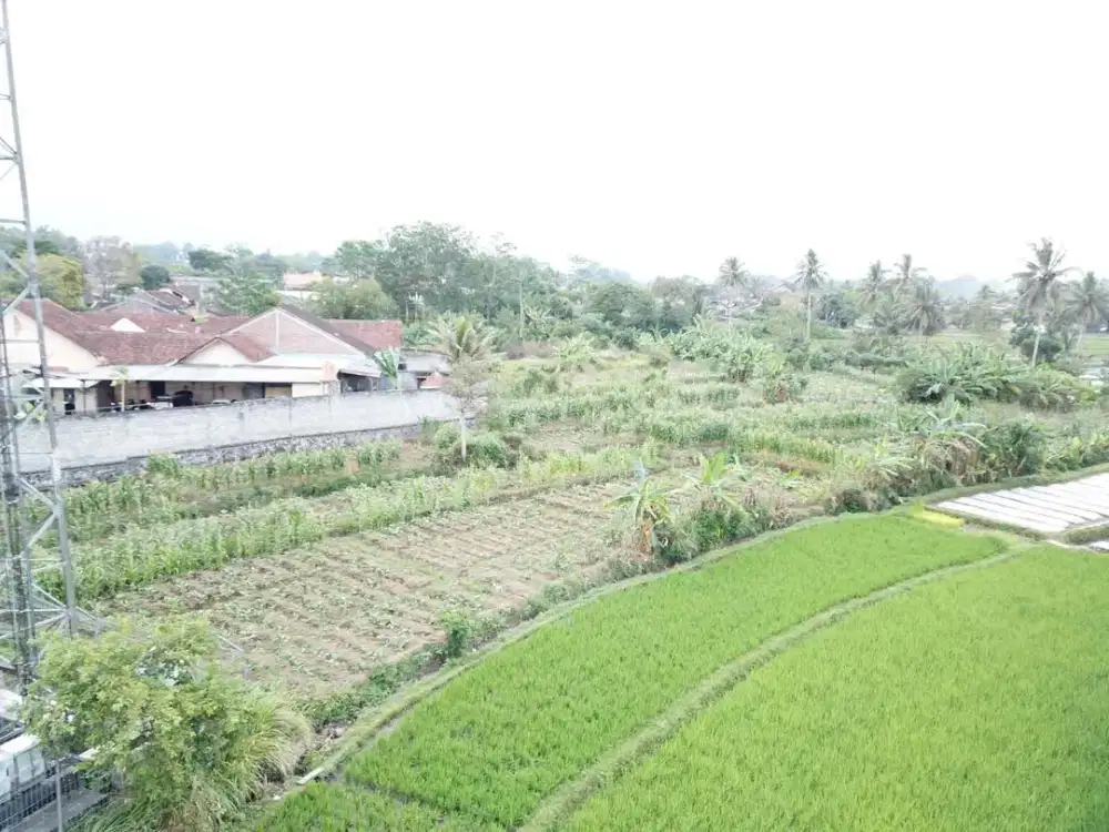 Tanah Strategis Bisa akses Kontainer 40 feet Kertosari Temanggung