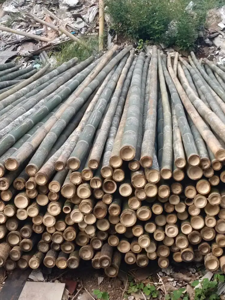 Jual bambu steger cor