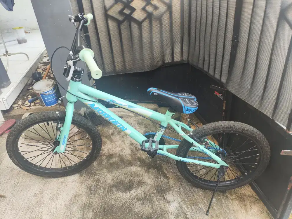 Sepeda Anak Ukuran 20