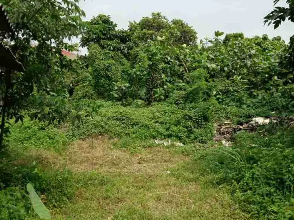 Dijual & Disewakan Lahan Strategis Pinggir Jalan