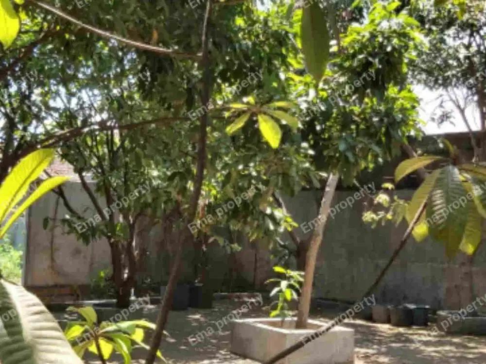 Dijual tanah kav perum. SumberPorong Lawang