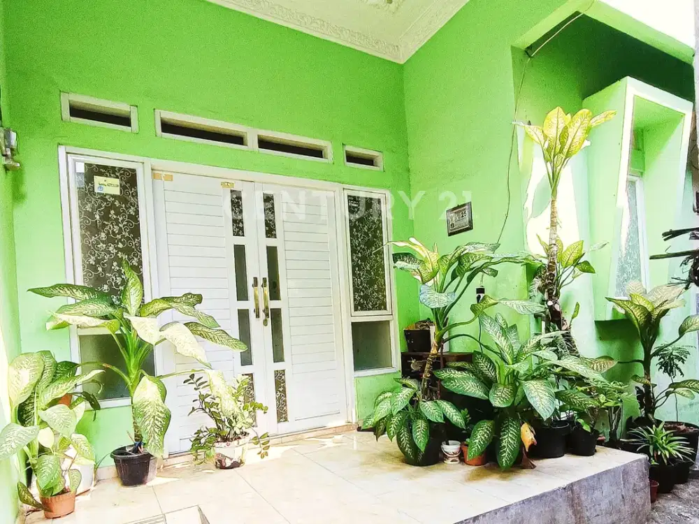 Rumah Murah Dalam Gang Siap Huni Di Kemayoran