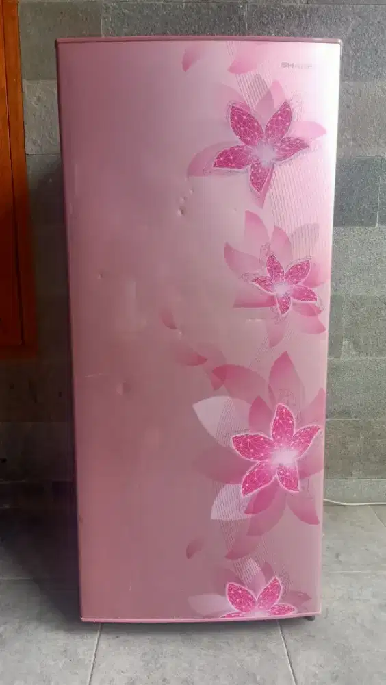 Kulkas sharp 1 pintu 166Liter