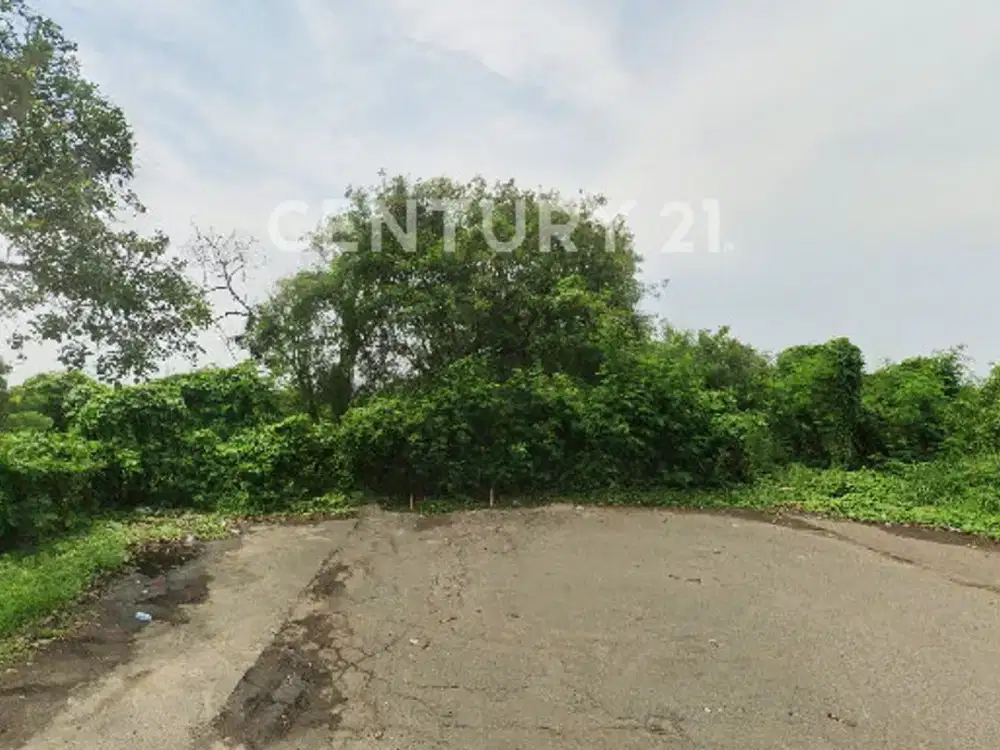 Tanah Kavling Kawasan Industri Murah Delta Silicon 1 Cikarang