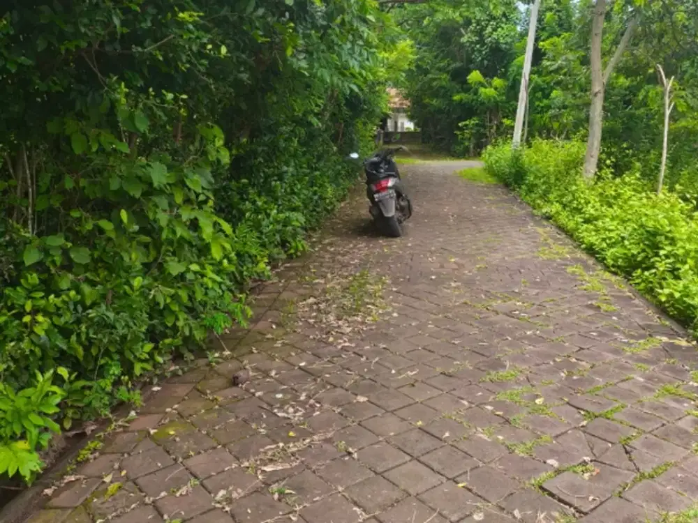 disewakan tanah dipurigading jimbaran badung bali