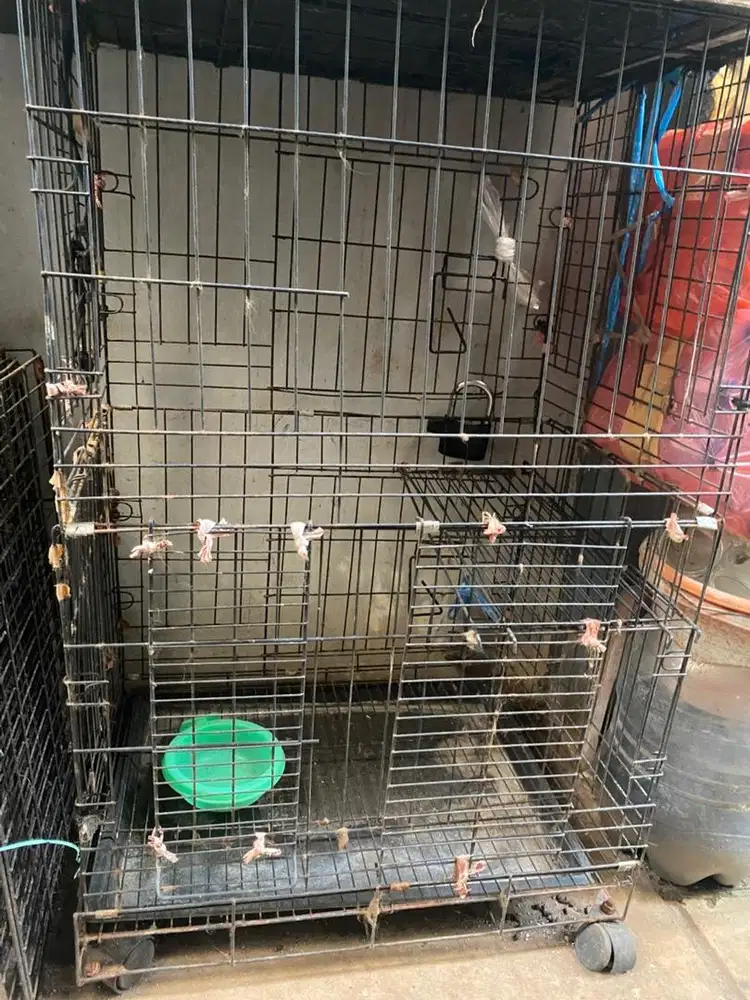 Kandang kucing 2 buah