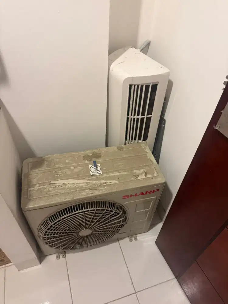 Ac sharp 1/2 pk mulus