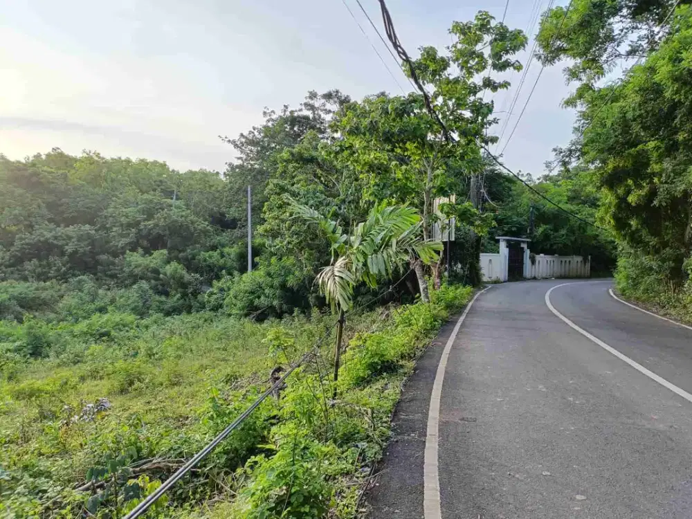 Tanah Premium Jl Belimbing Sari Pecatu