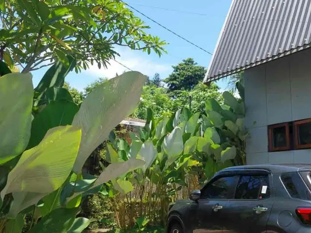Semi-Villa for Rent semifurnished
Abianbase, Tangeb, Badung - Bali