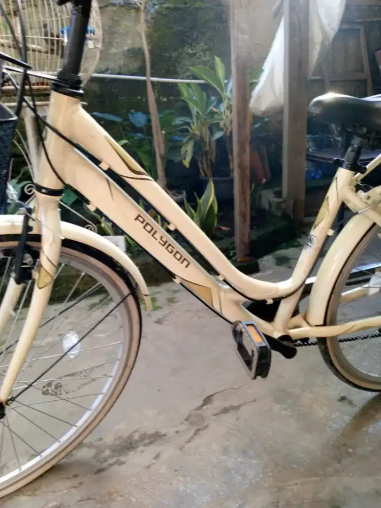 Sepeda polygon funbike dewasa