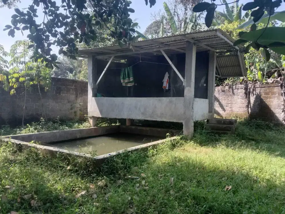 Tanah di Desa Pancawati, Caringin, Bogor