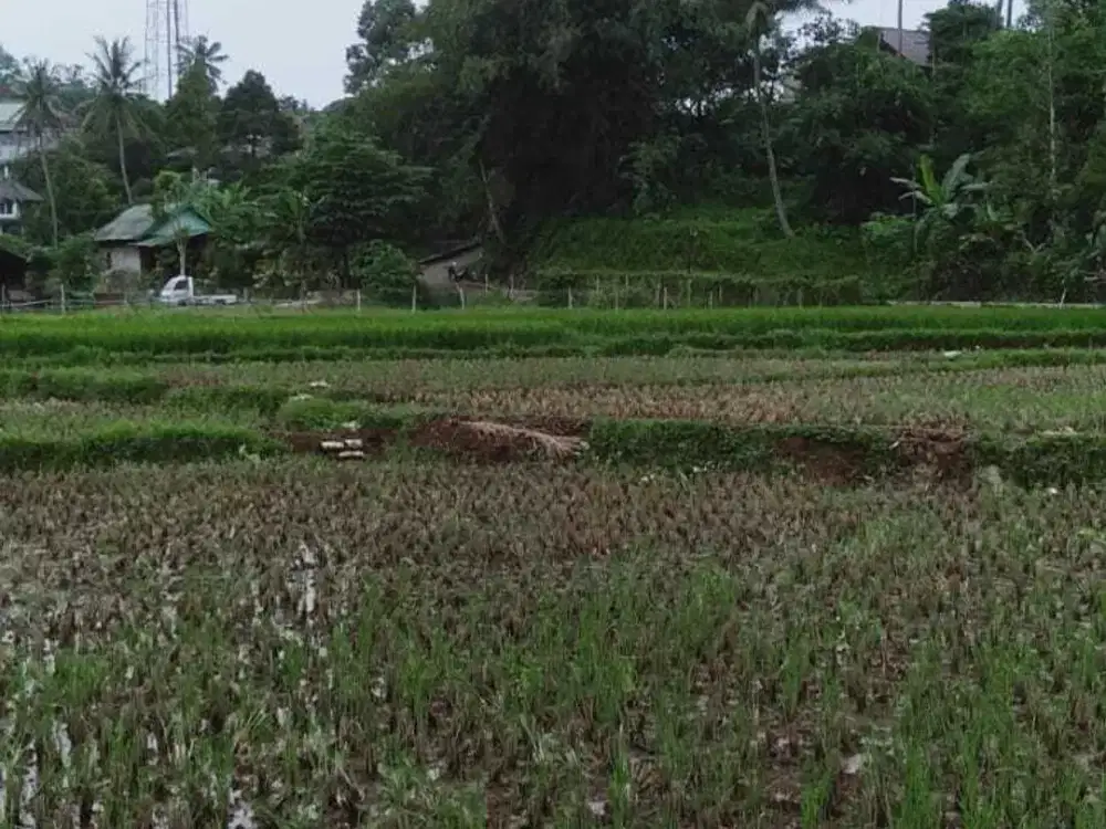 Tanah di Desa Cimande, Caringin, Bogor