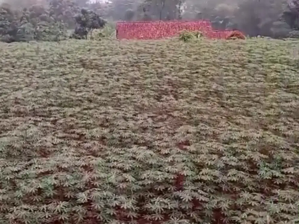 Tanah Darat di Gunung Geulis, Sumarecon Bogor