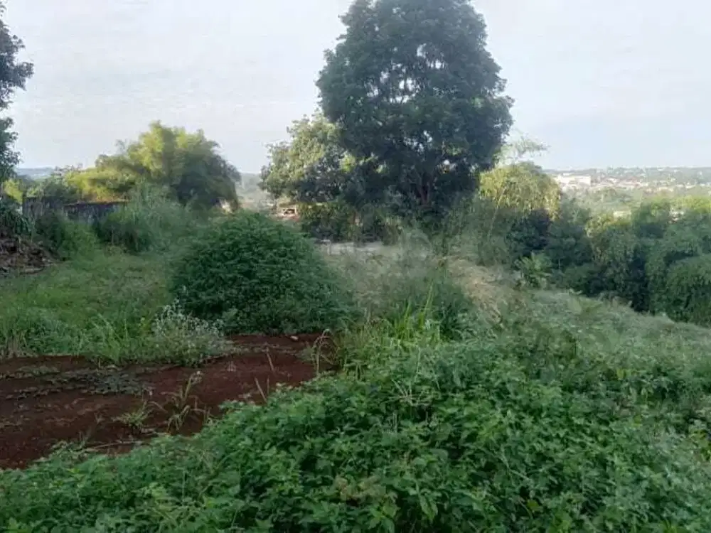 Tanah di Desa Pasir Gunung Geulis, Bogor