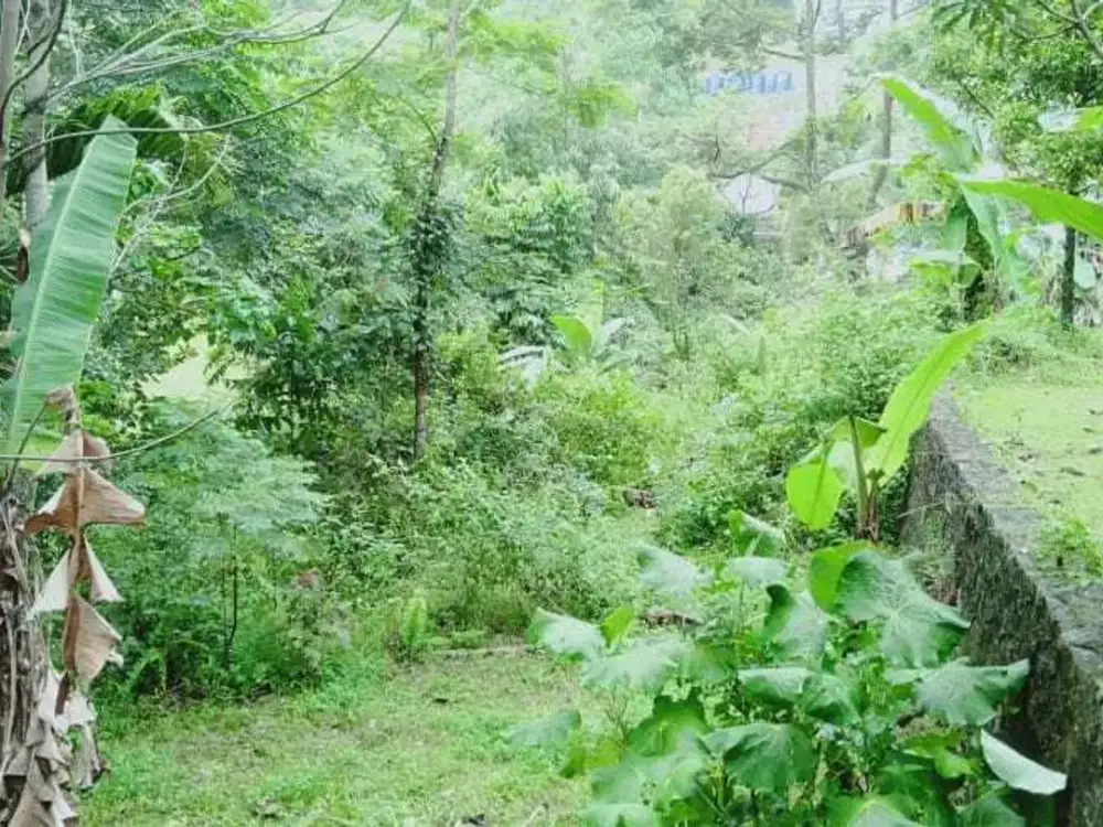 Tanah Darat di Gunung Geulis, Sukaraja, Bogor