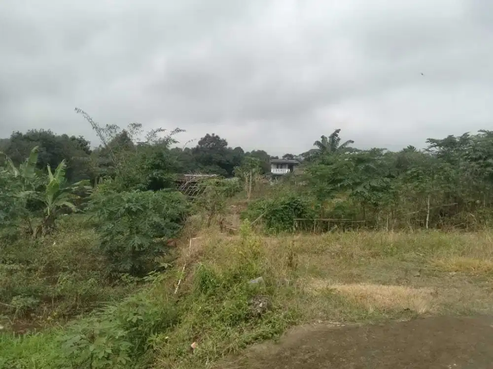 Tanah Darat dan Bangunan Penggilingan Padi di Pancawati, Caringin