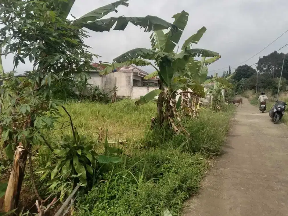 Dijual tanah darat di Desa Pancawati, Kecamatan Caringin, Kab Bogor