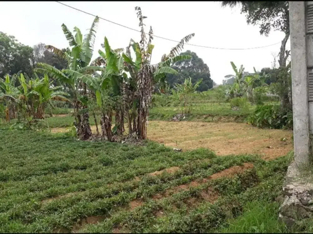 Dijual tanah di Citeko, Kecamatan Cisarua, Puncak Bogor.