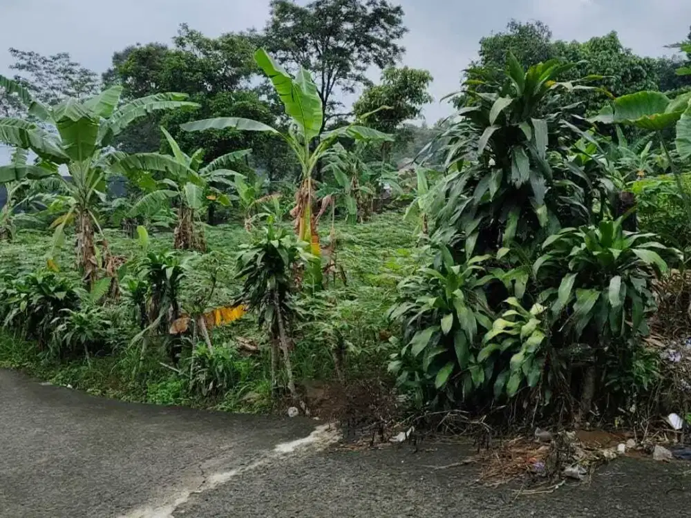 Tanah Darat di Cijayanti, Sentul City, Bogor