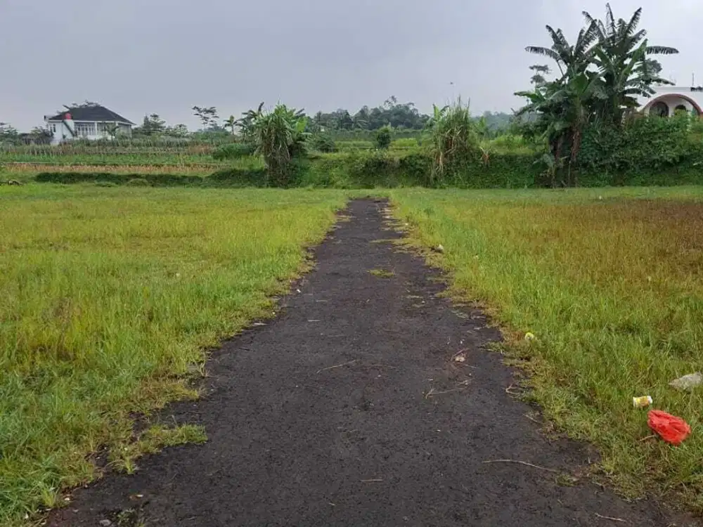 Dijual tanah kavling di Desa Sukamaju, Kecamatan Mega Mendung, Puncak