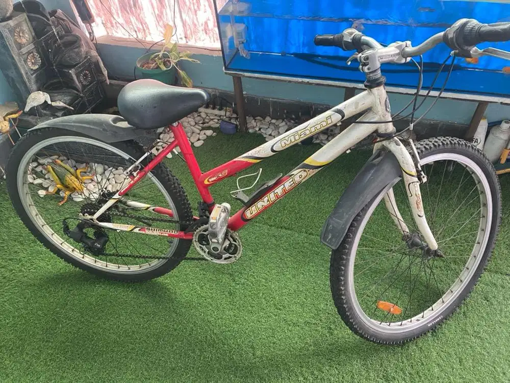 Sepeda dewasa United Miami ring 26